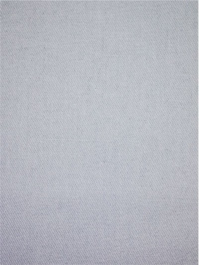 XX CGWI   20*16  190gsm  全棉阻燃牛仔布1 正面照